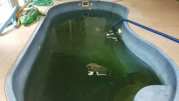 Fiberglass Pool Demolition