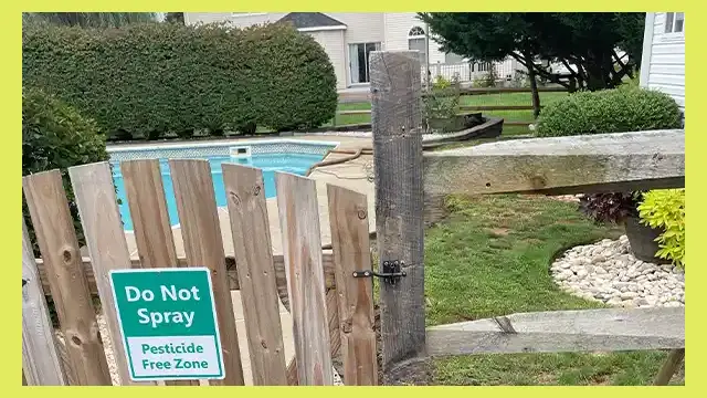 First step is we visit the property, check the area and talk about the features you wanted for the area. (this is after you make a call to us.) Step 1 of inground pool demolition